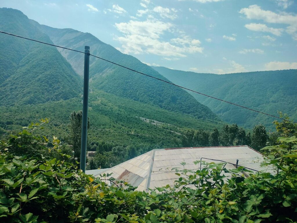 A shaded house roof beneath mature trees with leaves gathered in the gutters and roof valleys.