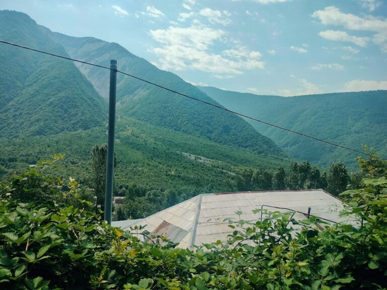 A shaded house roof beneath mature trees with leaves gathered in the gutters and roof valleys.